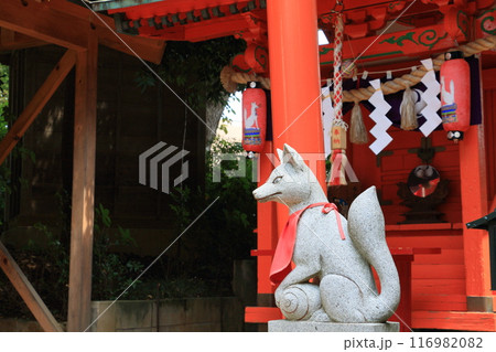 稲荷神社の狐の石像 稲地神社の守護獣 キツネの像 稲荷神社の狐の石像 稲地神社の守護獣 キツネの像 116982082