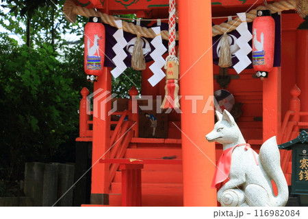 稲荷神社の狐の石像　稲地神社の守護獣　キツネの像 116982084