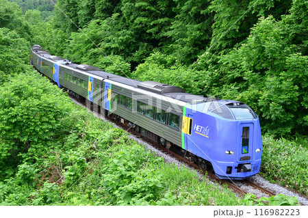 宗谷本線を走るキハ261系の特急列車 116982223