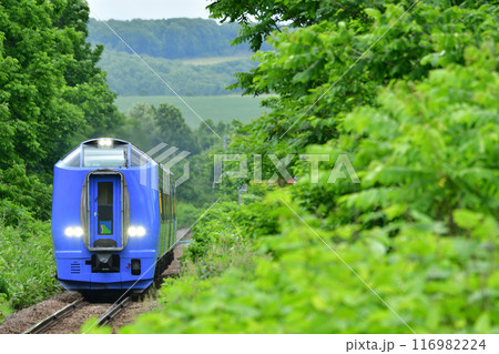 宗谷本線を走るキハ261系の特急列車 116982224