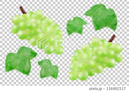 閃耀馬斯喀特 116982517