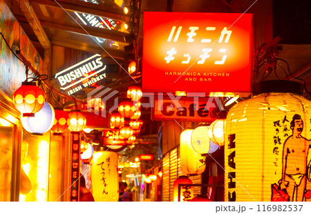 東京・吉祥寺・ハモニカ横丁　飲み屋街 116982537