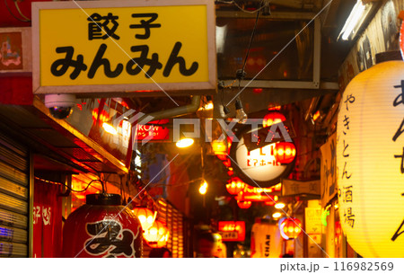 モニカ横丁　飲み屋街 116982569