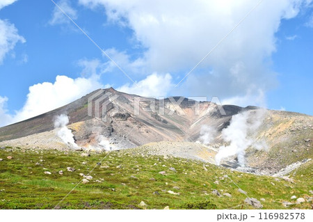 大雪山　旭岳噴気孔 116982578