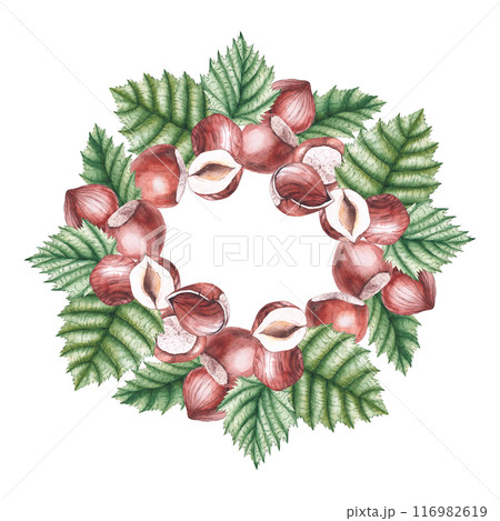 Watercolor hazelnut frame hand drawn Watercolor hazelnut frame hand drawn 116982619
