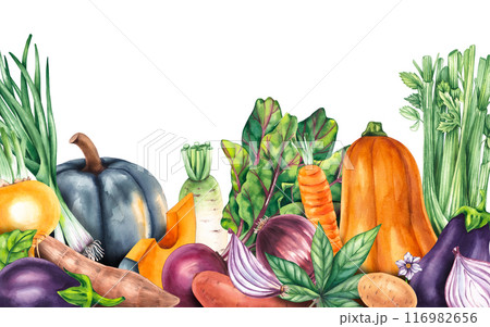 Watercolor vegetables background frame horizontal isolated 116982656