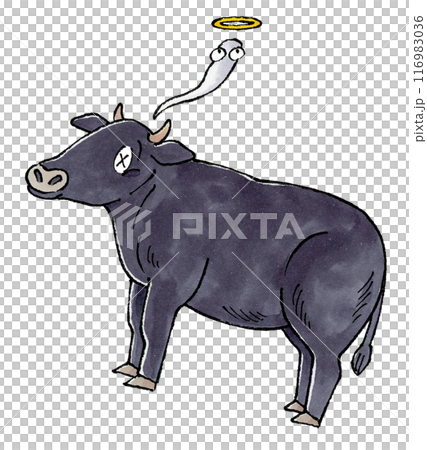 Dead black cow Dead black cow 116983036