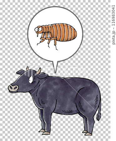 Black Cow and Flea Black Cow and Flea 116983041