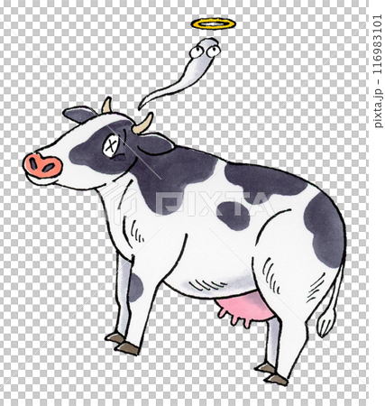 Dead dairy cow Dead dairy cow 116983101