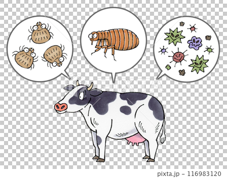 Dairy cows and parasites (ticks, fleas, pathogens) Dairy cows and parasites (ticks, fleas, pathogens) 116983120