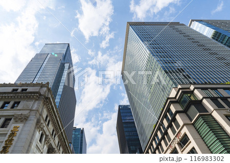 【都市景観】日本橋の高層ビル街 116983302
