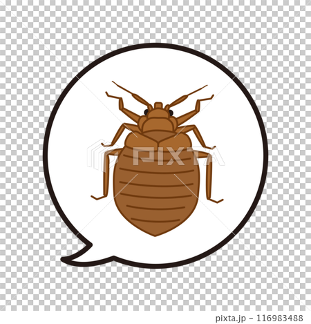 Illustration of a bedbug in a speech bubble 116983488