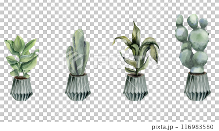 Green home plants in pots : cactus, green leaves, mostera in grey ceramic pot. Hand drawn urban jungle palm with green leaves potted in container for house decor, interior design in boho natural style 116983580