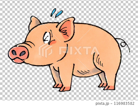 Troubled Pig 116983582