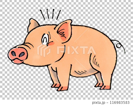 Happy pig 116983583