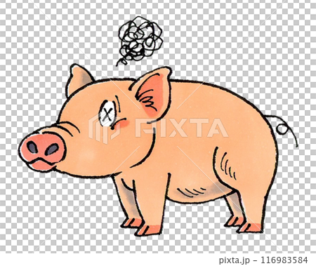 Pig 116983584