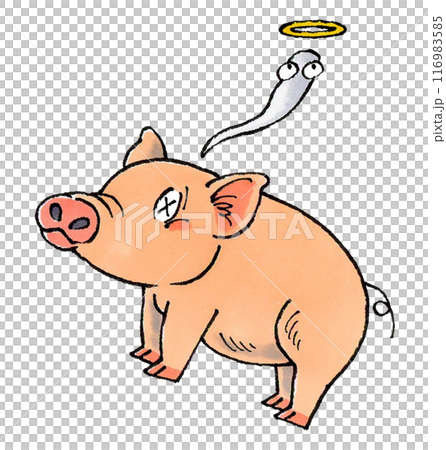 Dead pig 116983585