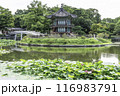ancient place 116983791