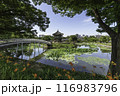 ancient place 116983796