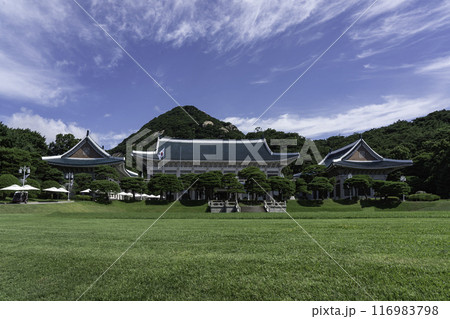 Blue house Blue house 116983798