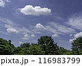 cloud 116983799