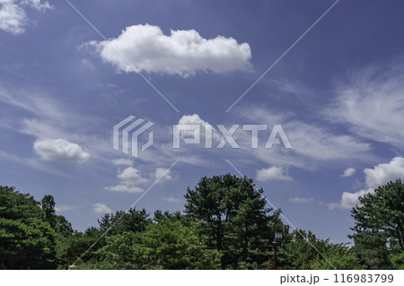 cloud cloud 116983799