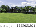 Blue house 116983801