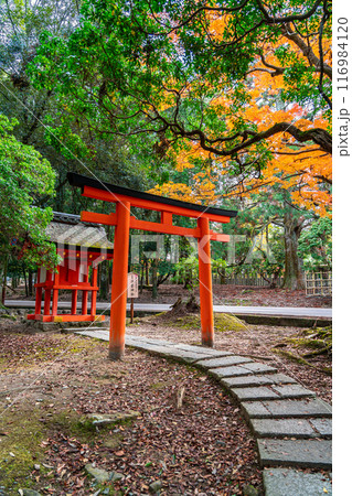 【奈良県】豊かな自然に囲まれた浮雲神社 【奈良県】豊かな自然に囲まれた浮雲神社 116984120