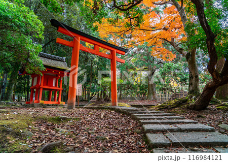 【奈良県】豊かな自然に囲まれた浮雲神社 116984121