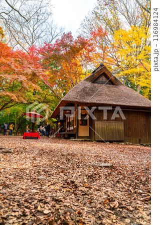 【奈良県】鮮やかな紅葉に囲まれた奈良公園内の水谷茶屋 116984124