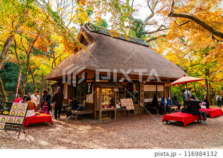 【奈良県】鮮やかな紅葉に囲まれた奈良公園内の水谷茶屋 【奈良県】鮮やかな紅葉に囲まれた奈良公園内の水谷茶屋 116984132