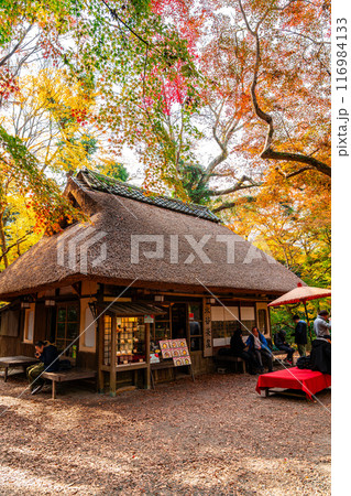 【奈良県】鮮やかな紅葉に囲まれた奈良公園内の水谷茶屋 116984133