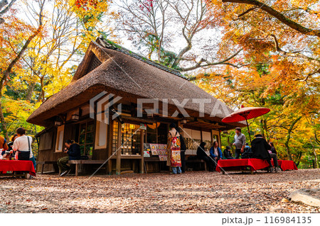 【奈良県】鮮やかな紅葉に囲まれた奈良公園内の水谷茶屋 116984135