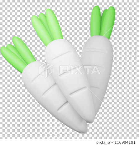 日本蘿蔔 116984181