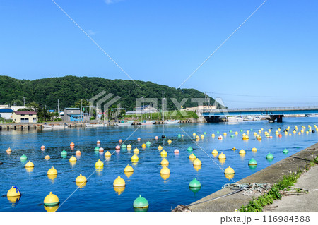 道東の漁港 散布(ちりっぷ)漁港 116984388