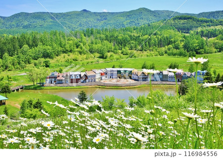 カナディアンワールド 116984556