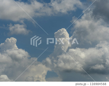 積乱雲に覆われた夏の空 積乱雲に覆われた夏の空 116984588