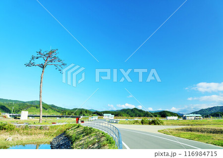 岩手県　陸前高田　青空の「奇跡の一本松」 116984715