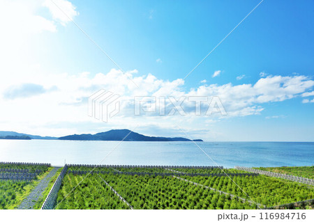 岩手県　青空と海の陸前高田 116984716