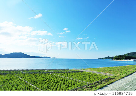 岩手県　青空と海の陸前高田 116984719