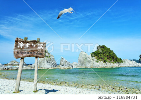 岩手県 青空の浄土ヶ浜 岩手県 青空の浄土ヶ浜 116984731