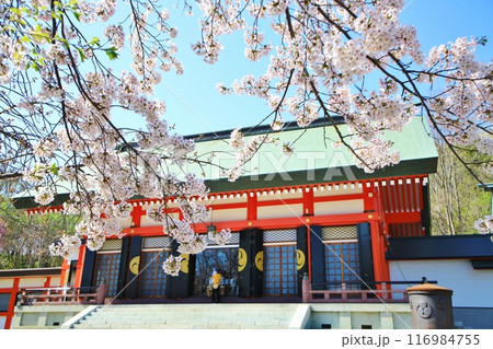 住吉神社とさくら 住吉神社とさくら 116984755