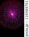 夜空に咲く花火 116984761