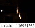 暗闇に光る電球 116984762