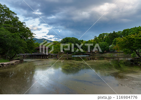 2024年夏奈良公園鷺池浮見堂の夕景 鷺池北側から大文字山を望む⑤ 2024年夏奈良公園鷺池浮見堂の夕景 鷺池北側から大文字山を望む⑤ 116984776