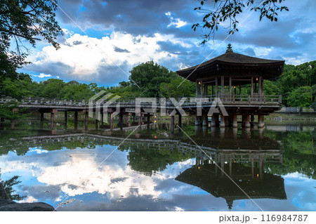 2024年夏奈良公園鷺池浮見堂の夕景　木々の間から見える浮見堂南西の夕空　横構図② 116984787