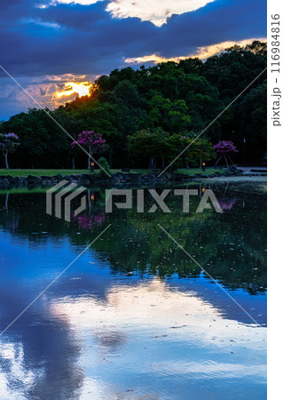 2024年夏奈良公園鷺池浮見堂の夕景　大空を沈んで行く夕日で黄金色に染まった山際と水面に映った空① 116984816