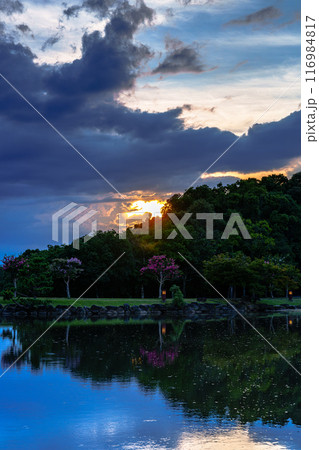 2024年夏奈良公園鷺池浮見堂の夕景　大空を沈んで行く夕日で黄金色に染まった山際と水面に映った空② 116984817