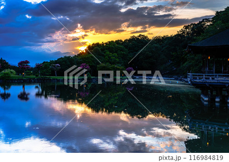 2024年夏奈良公園鷺池浮見堂の夕景 西の空に広がった黄金色の空と暗雲 横構図 2024年夏奈良公園鷺池浮見堂の夕景 西の空に広がった黄金色の空と暗雲 横構図 116984819