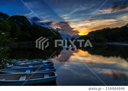 2024年夏奈良公園鷺池浮見堂の夕景 怪獣のような入道雲と夕焼け空⑤ 2024年夏奈良公園鷺池浮見堂の夕景 怪獣のような入道雲と夕焼け空⑤ 116984846
